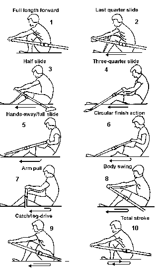 Progression for rowing instruction