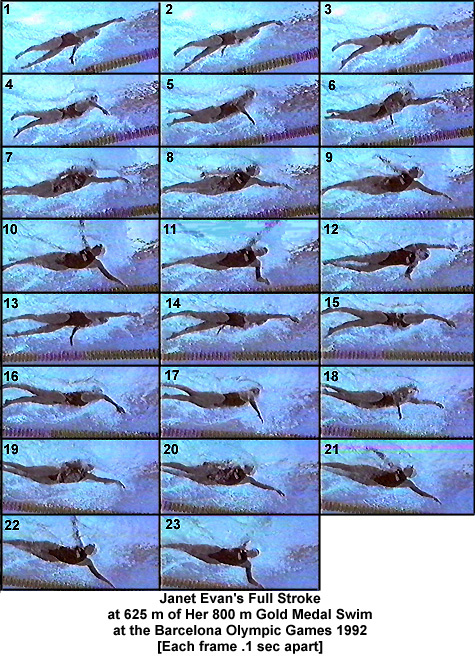 Janet Evans' crawl stroke cycle